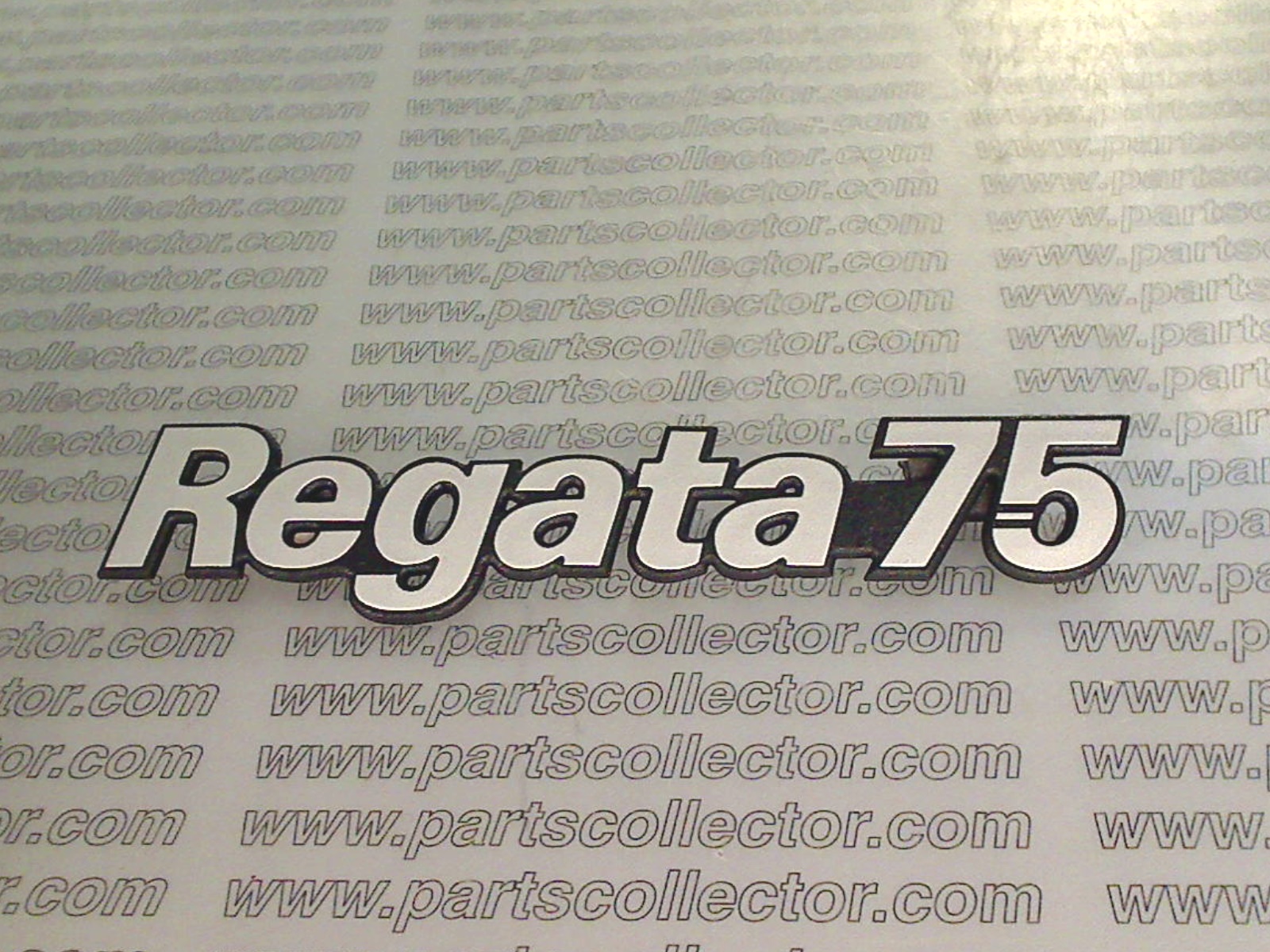 SCRITTA REGATA 75